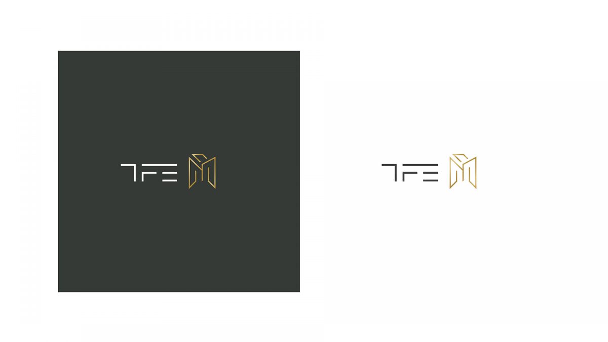 TFE aplicação de logo desenvolvido pela Unitri Design